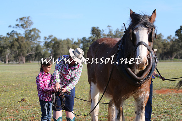 Barellan2015_0295