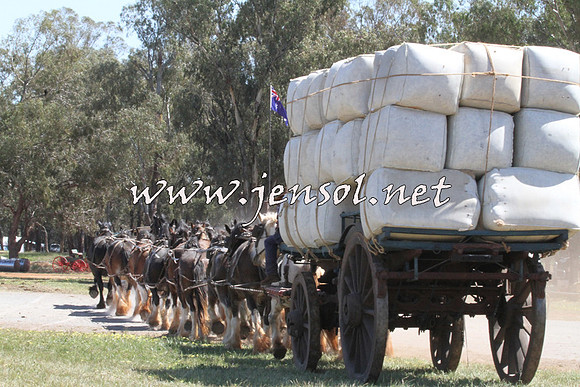 Barellan2015_2042
