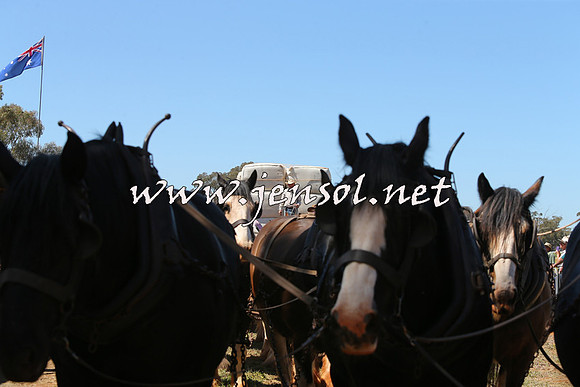 Barellan2015_0412