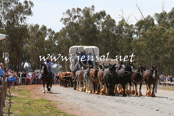 Barellan2015_0070
