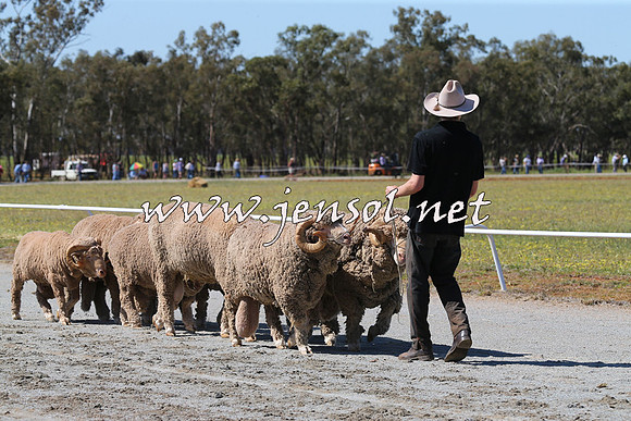 Barellan2015_0269