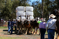 Barellan2015_0336