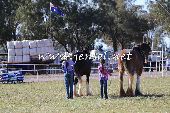 Barellan2015_0304