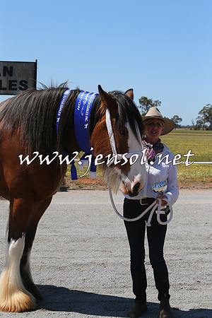 Barellan2015_0181