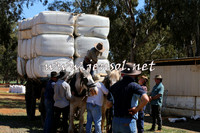 Barellan2015_0333