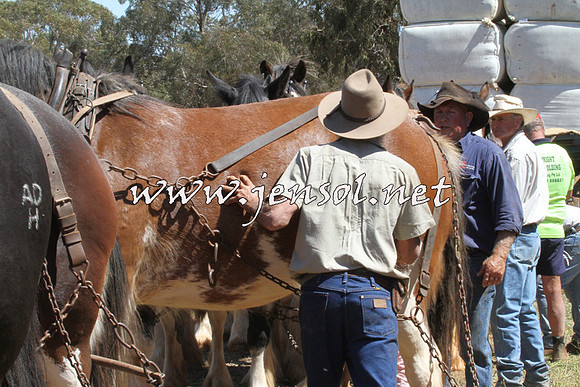 Barellan2015_2019