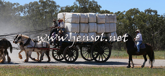 Barellan2015_0406