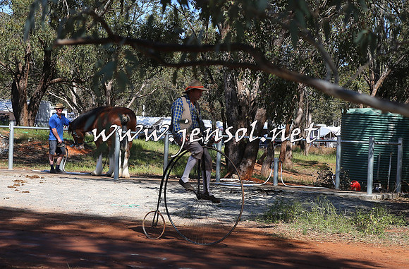 Barellan2015_0120