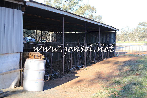 Barellan2015_0416