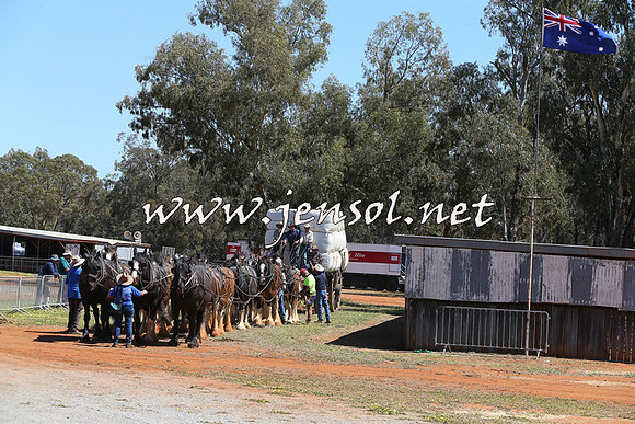 Barellan2015_0364