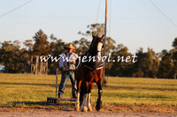 Barellan2015_0423