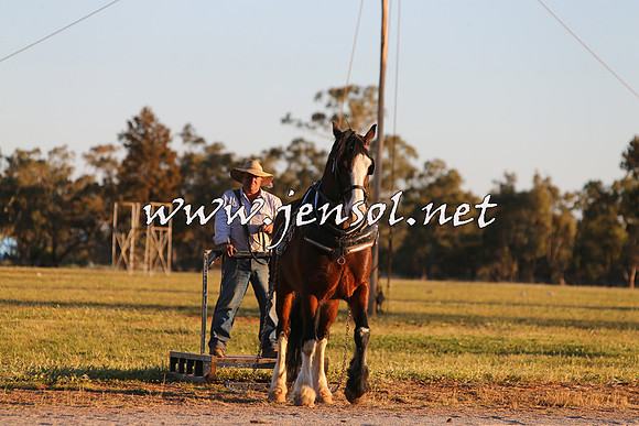 Barellan2015_0423
