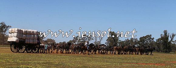 Barellan2015_0387