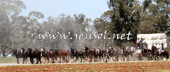 Barellan20157D_2084