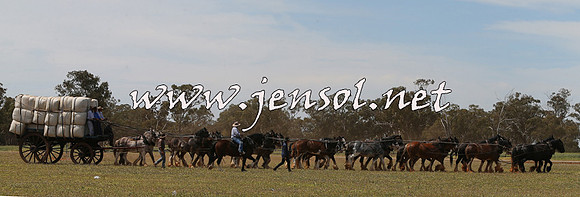 Barellan2015_0054