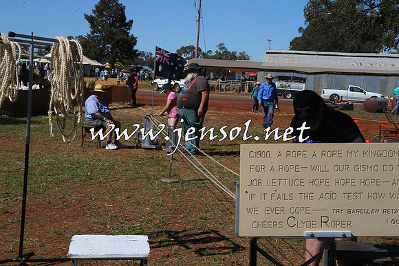 Barellan2015_0124