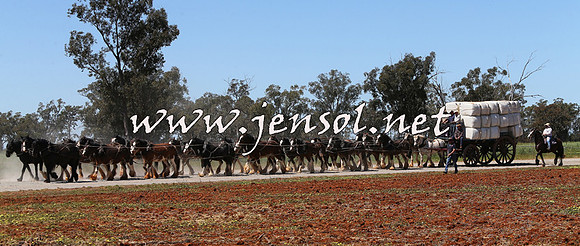 Barellan2015_0400