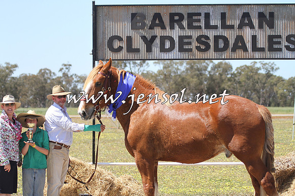 Barellan2015_2000