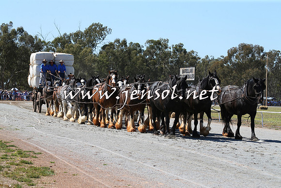 Barellan2015_0249