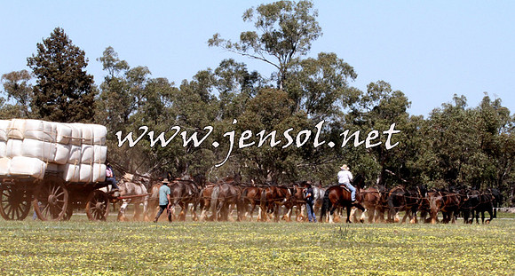 Barellan2015_2021