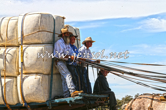 Barellan2015_0092