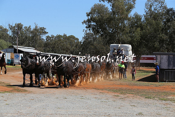 Barellan2015_0374