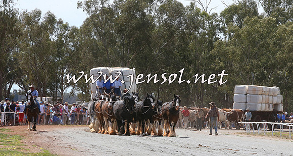 Barellan2015_0064