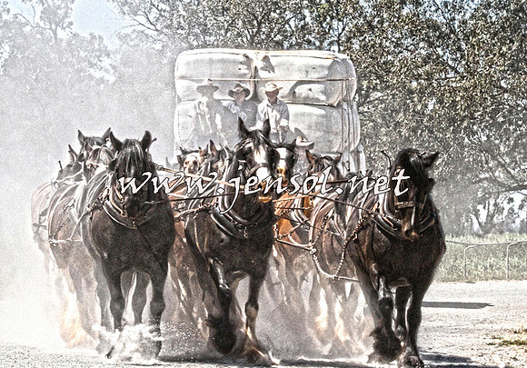 Barellan2015_2028