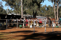 Barellan2015_0309