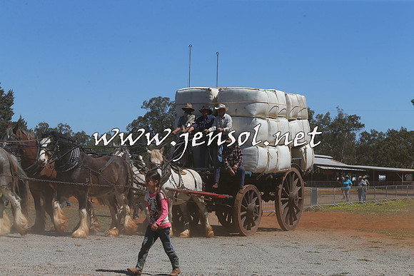 Barellan2015_0376