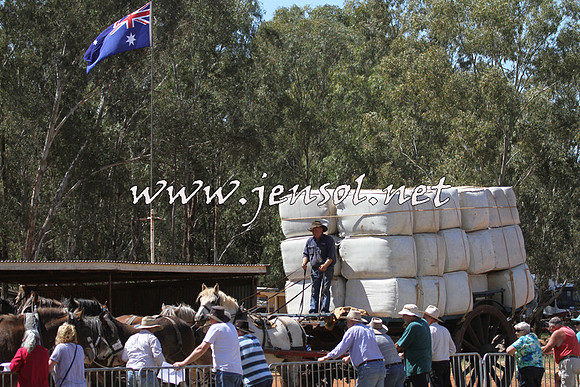 Barellan2015_2046