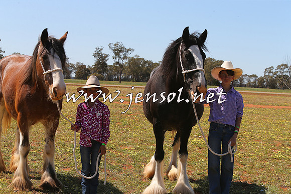 Barellan2015_0150