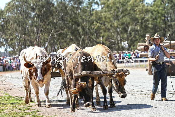 Barellan2015_2012