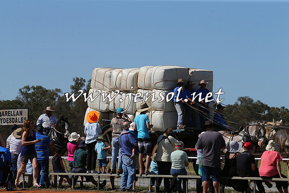 Barellan2015_0286