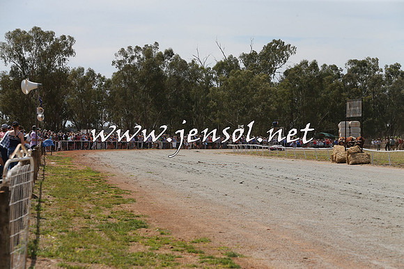 Barellan2015_0063