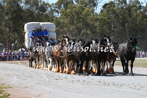 Barellan2015_0229