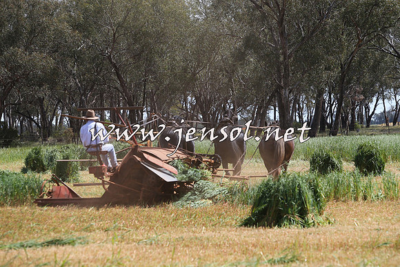 Barellan2015_0002