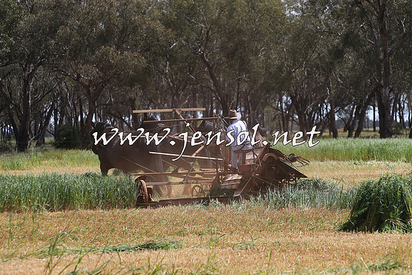 Barellan2015_0004
