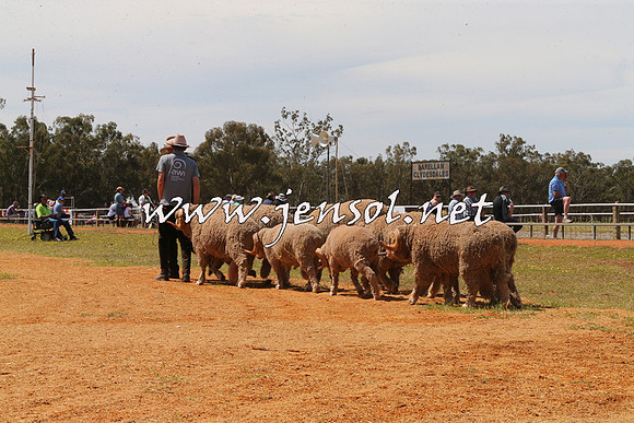 Barellan2015_0087