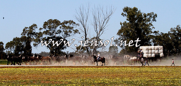 Barellan2015_2026