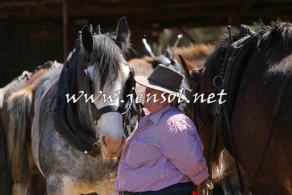 Barellan2015_0337
