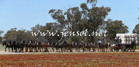 Barellan2015_0397