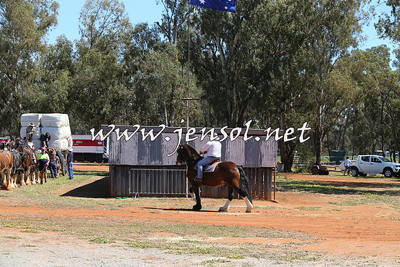 Barellan2015_0359