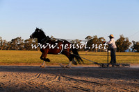 Barellan2015_0429