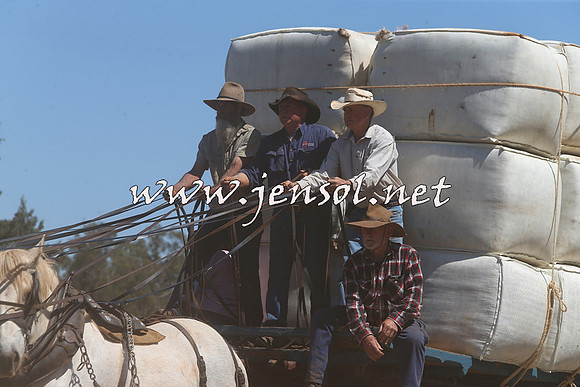 Barellan2015_0377