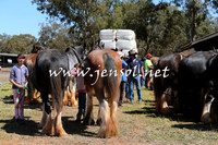 Barellan2015_0331