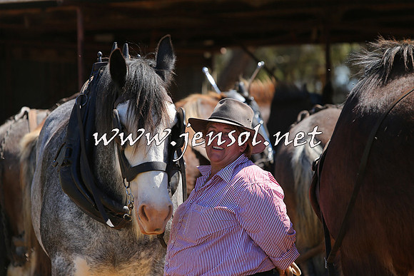 Barellan2015_0338