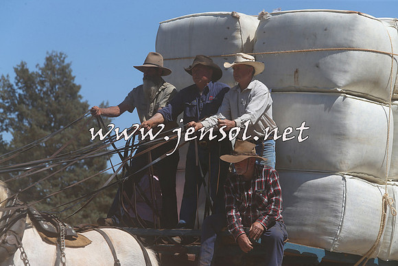 Barellan2015_0379
