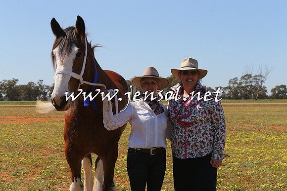 Barellan2015_0145