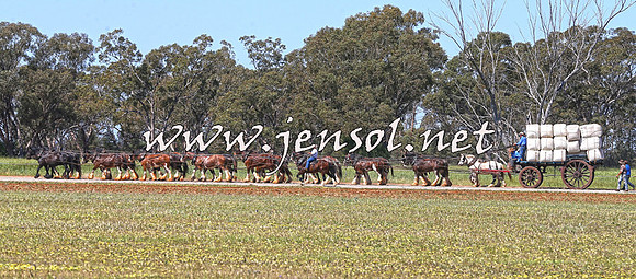 Barellan2015_0204